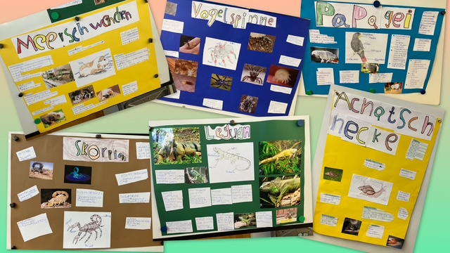 Haustieralarm in Klasse 3!